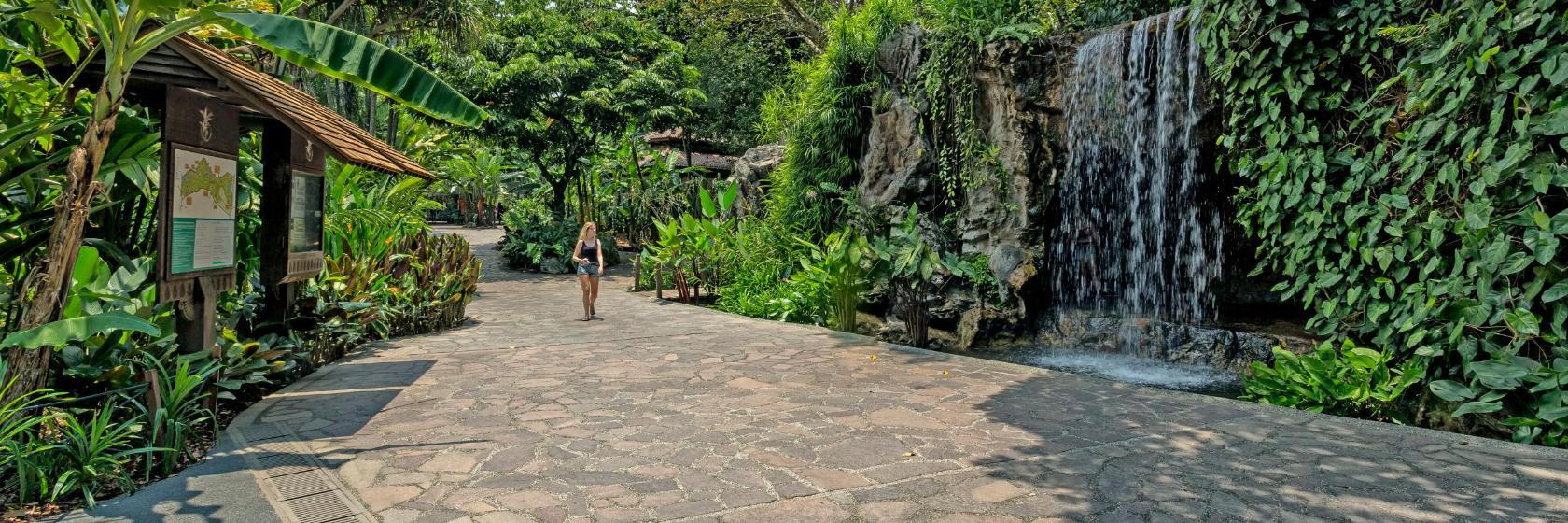 Singapur Botanik Bahçeleri